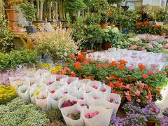 -双季花艺园艺市场(浦东店)