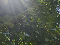 -郭亮村