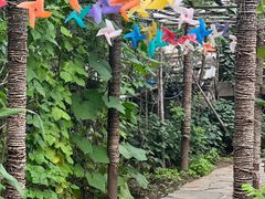 -南窖乡水峪村山情农家