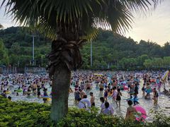 -重庆海昌加勒比海水世界