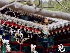 -香山公园