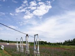 -北京东方普罗旺斯薰衣草庄园