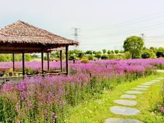 -上海杨姆庄园