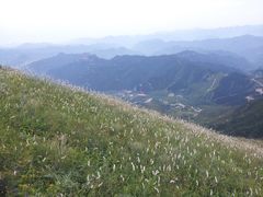 -白草畔自然风景区