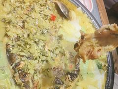 -探鱼·鲜青椒爽麻烤鱼(北京路天河城店)