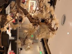 -九毛九西北菜(番禺万达店)