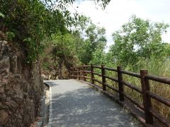 景点-羚羊峡古栈道森林公园