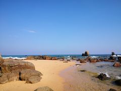 -采悦轩中餐厅·粤菜·海南菜(神州半岛喜来登度假酒店)