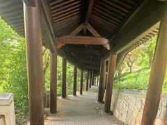 -庐山风景名胜区-东林大佛