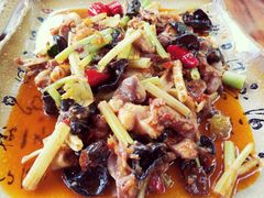 -青城甲(青城山店)