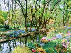 -上海共青森林公园