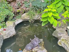 -谷咖啡·鲜花绿植花园餐厅