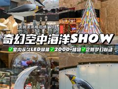 -视博茶点(美狮美高梅店)