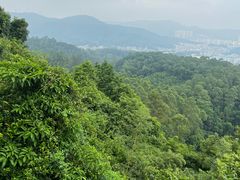 -火炉山森林公园