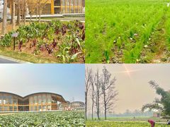 -中国天府农业博览园