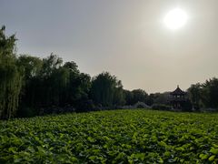 -莲池书院博物馆
