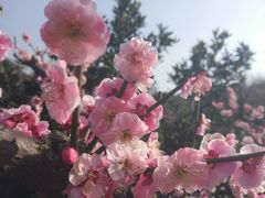 -雨花胜境