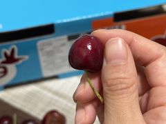 -双福水果批发市场