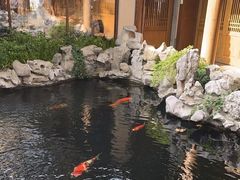 -鲤院·新中式美学·庭院餐厅(夫子庙店)