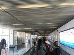 -澳门外港客运码头(轮渡站)