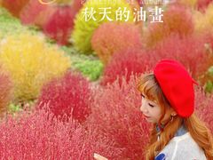 -映月湖中央公园