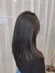 -藤野造型