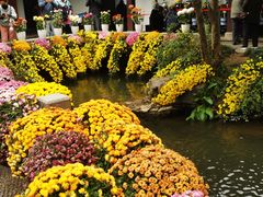 -杭州植物园