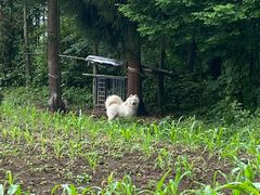 -西岭雪山大飞水景区