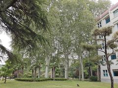 -河南省黄河迎宾馆