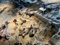 -自贡恐龙博物馆