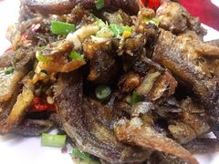 椒盐多春鱼-蛇口康乐快餐鱼仔档(翠苑小区店)