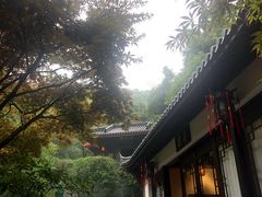 -十八棵（老龙井）御茶园(老龙井店)