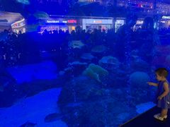 -成都浩海立方海洋公园