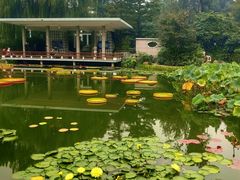 -国家植物园南园