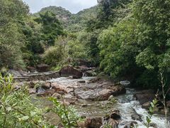 -广州白江湖森林公园