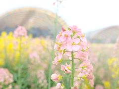 -中国天府农业博览园