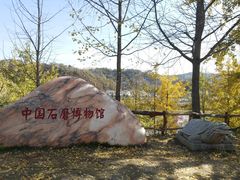 -千年银杏谷文化旅游区