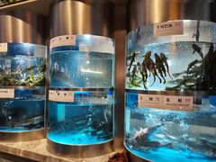 -老船舫·现做活鲜鱼馆(东郊记忆店)