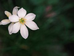 -老屋咖啡