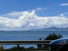 -广东惠东海龟国家级自然保护区