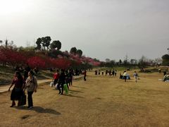 -秀丽东方