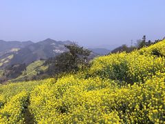 -石潭村
