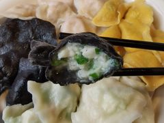 -船歌鱼水饺(高新园区店)