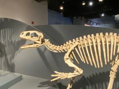 -自贡恐龙博物馆