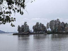 -东湖落雁景区