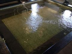 -东方华地城湿地温泉度假区