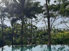 -海南清水湾莱佛士酒店