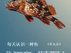 -鑫艋游艇海钓俱乐部