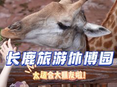 -长鹿旅游休博园
