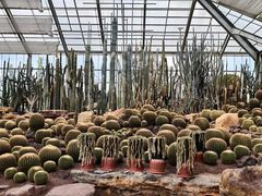 -南通洲际绿博园